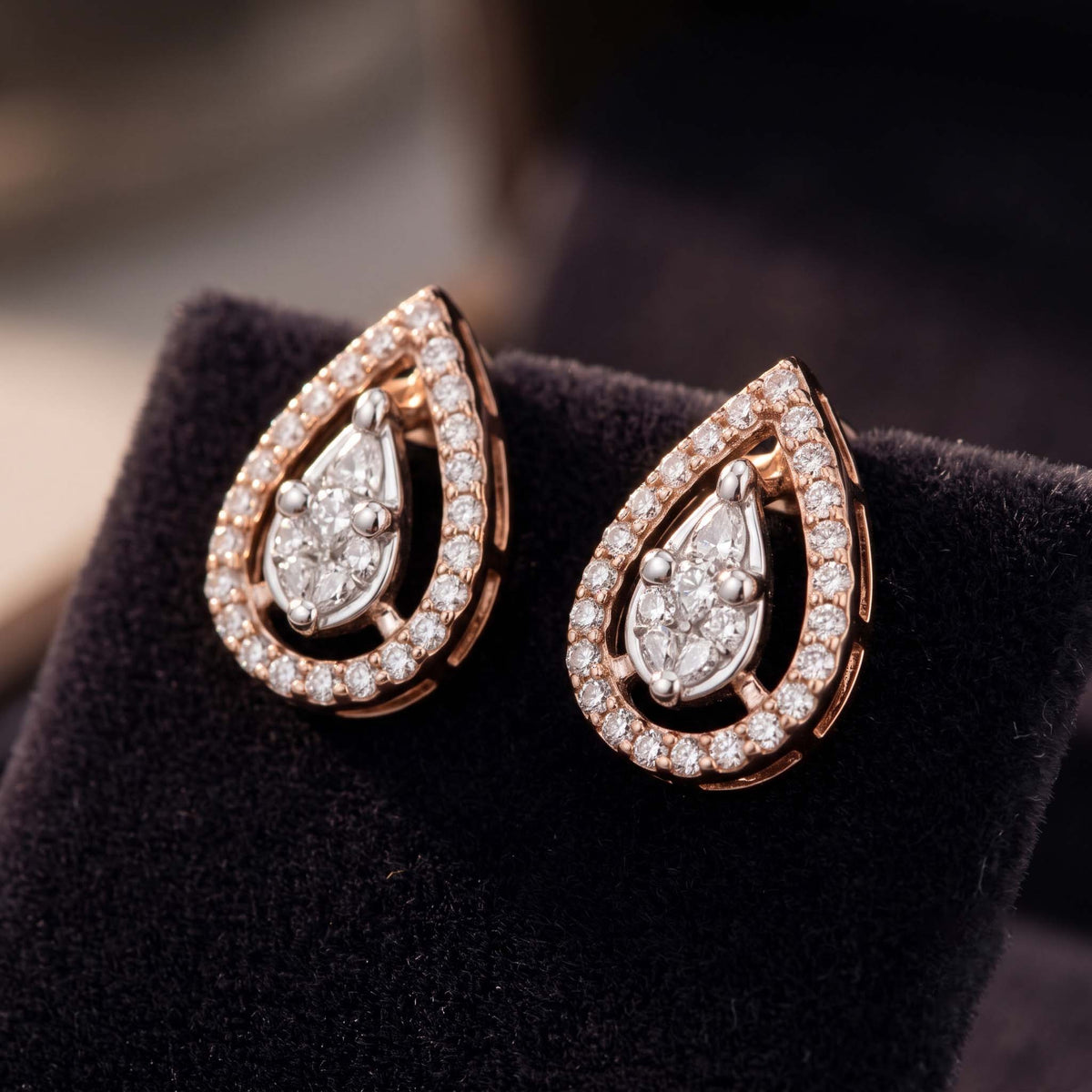 Dewdrop Halo Stud Earrings